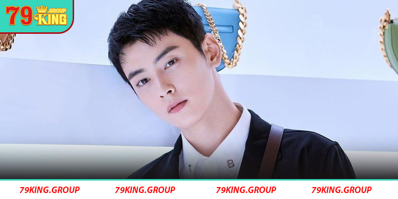 CEO 79King có kinh nghiệm gì